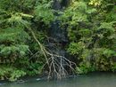 奥入瀬渓流：千筋の滝