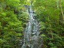奥入瀬渓流：姉妹の滝