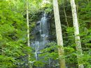 奥入瀬渓流：双白髪の滝