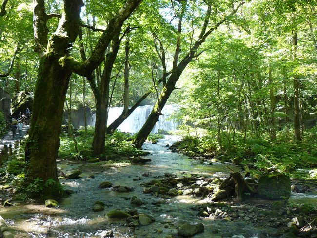 �������k���E���q���