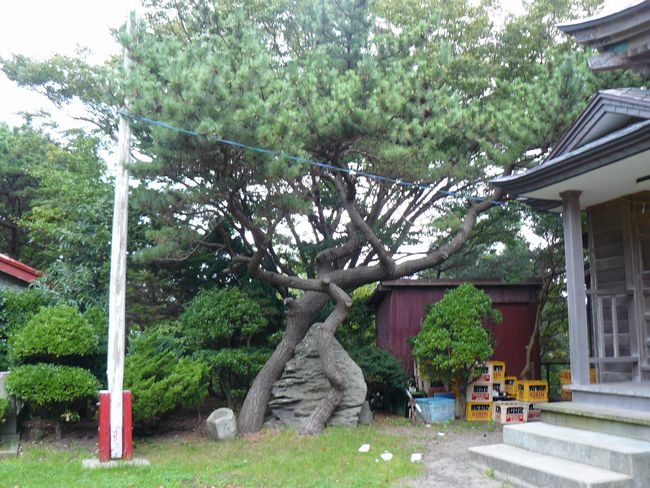 ���k�����E��Ԉ�א_��