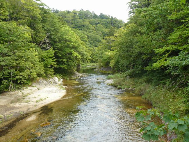 ���k�����E�򌤌k��