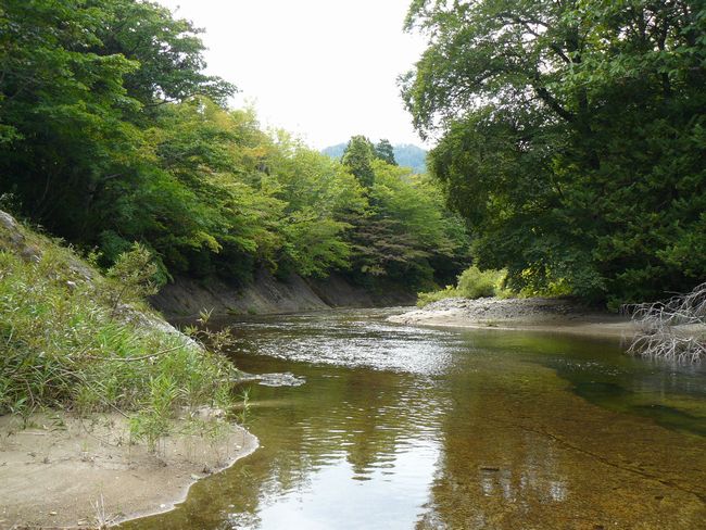 ���k�����E�򌤌k��