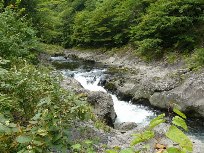 ���k�����E�򌤌k��