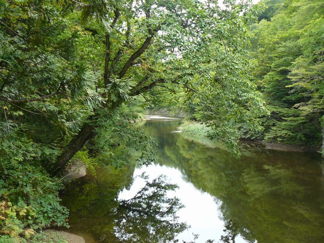 ���k�����E�򌤌k��