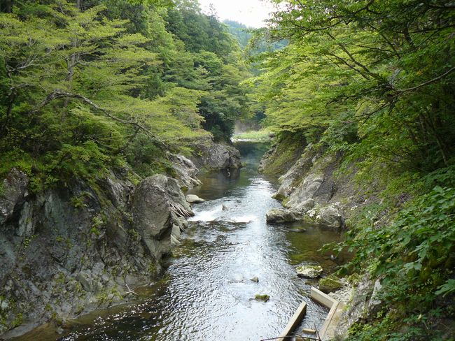 ���k�����E�򌤌k��