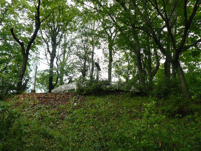 �\�a�c�΁E�L���X�g�̕�