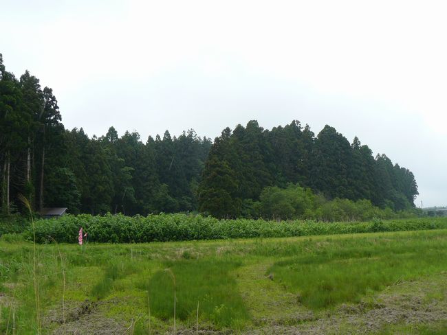 �Ìy�����E�H�c��