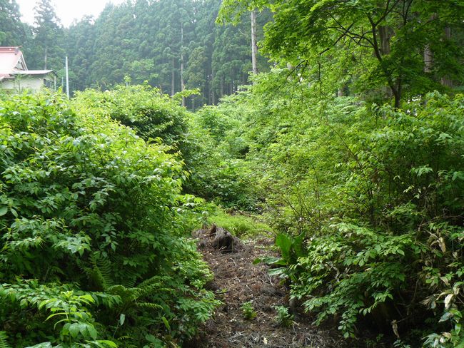 �Ìy�����E�H�c��