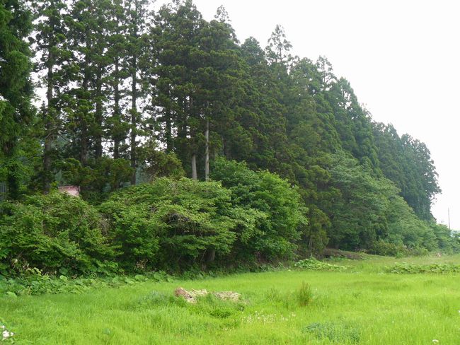 �Ìy�����E�H�c��