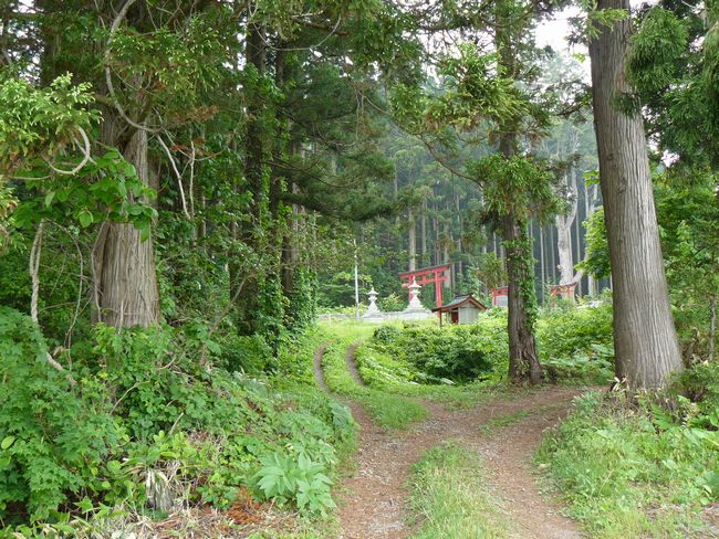 �Ìy�����E�H�c��