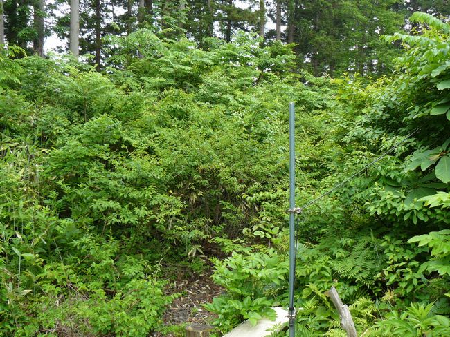 �Ìy�����E�H�c��