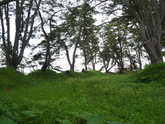 �Ìy�����E���ڑ��