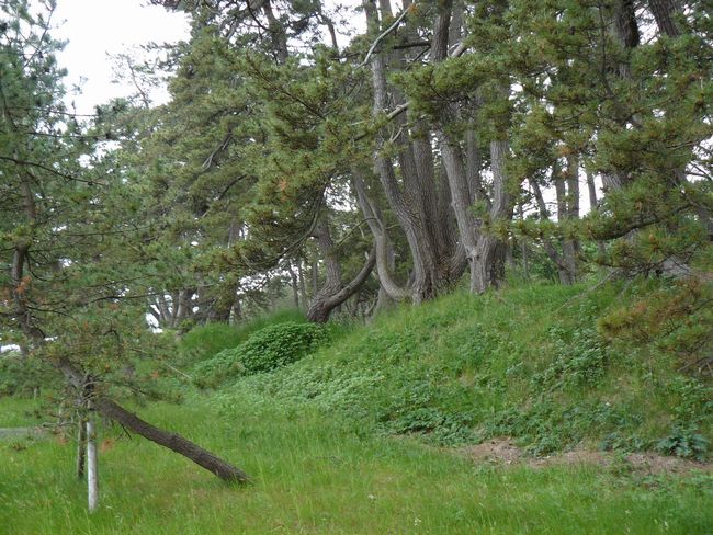 �Ìy�����E���ڑ��