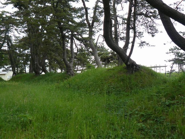 �Ìy�����E���ڑ��