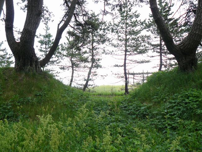 �Ìy�����E���ڑ��