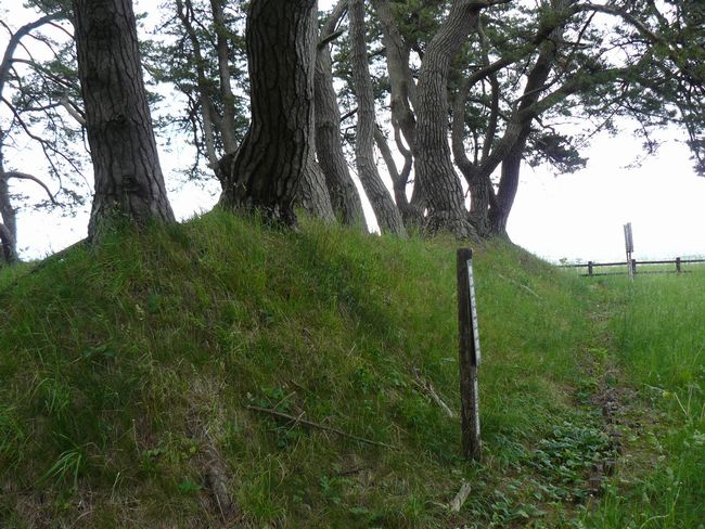 �Ìy�����E���ڑ��