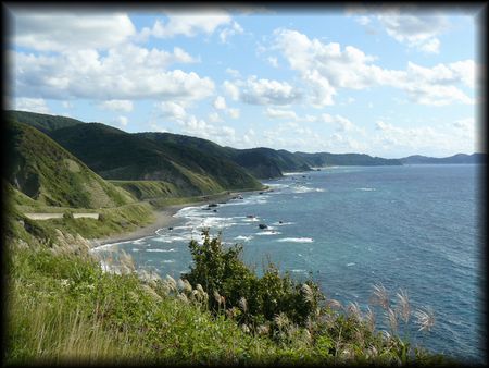 �Ìy�����F�ʐ^