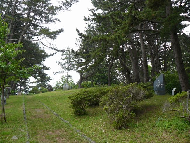 �Ìy�����E���p�R����