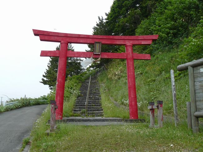 �Ìy�����E���p�R����