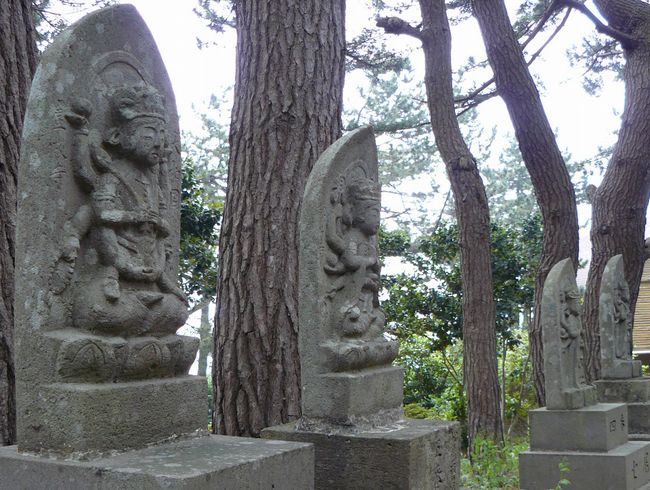 �Ìy�����E���p�R����