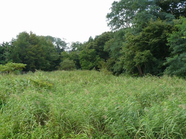 ����s�E�T�������