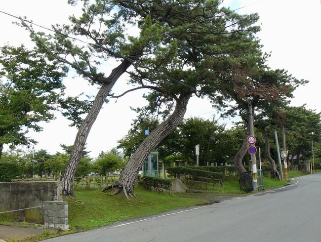 ����s�E�䉼��