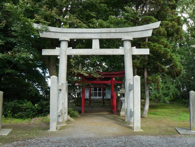 ����s�E���錩�_��