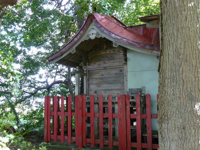 ����s�E���錩�_��