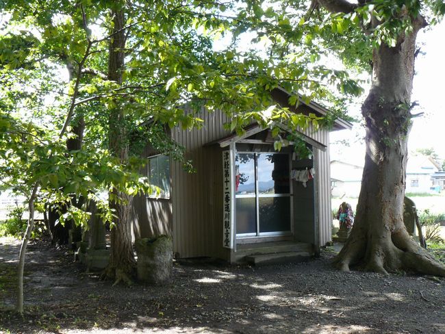 ����s�E���錩�_��