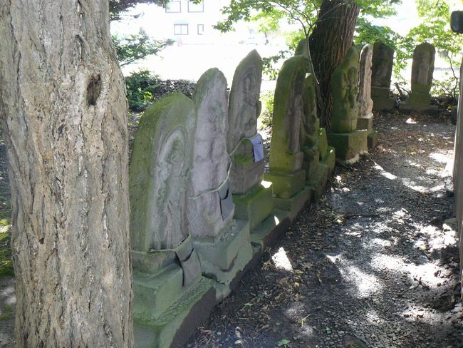 ����s�E���錩�_��