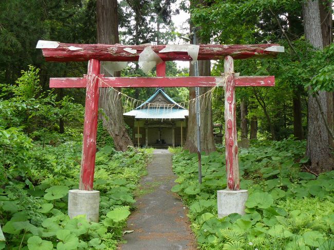 ���]�^���F �����R�_�Ёi�X���X�s�j