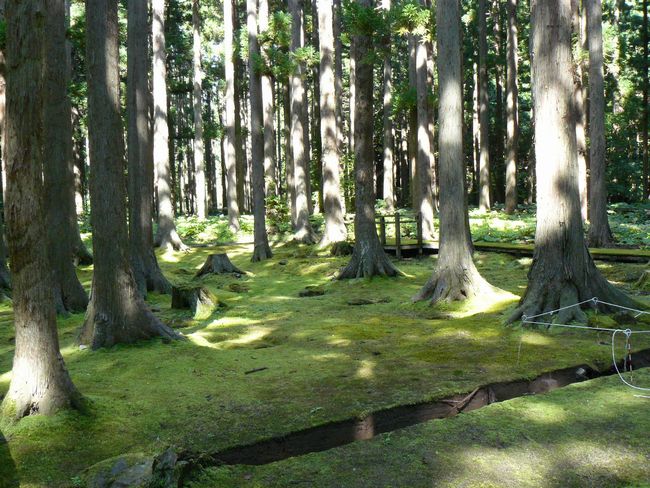 ���]�^���F�R���V��Ձi�X���܏��쌴�s�j