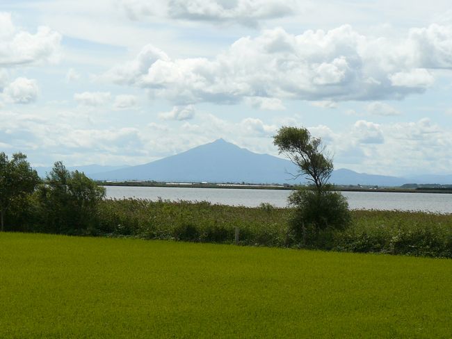 �\�O�΁i�X���܏��쌴�s�j