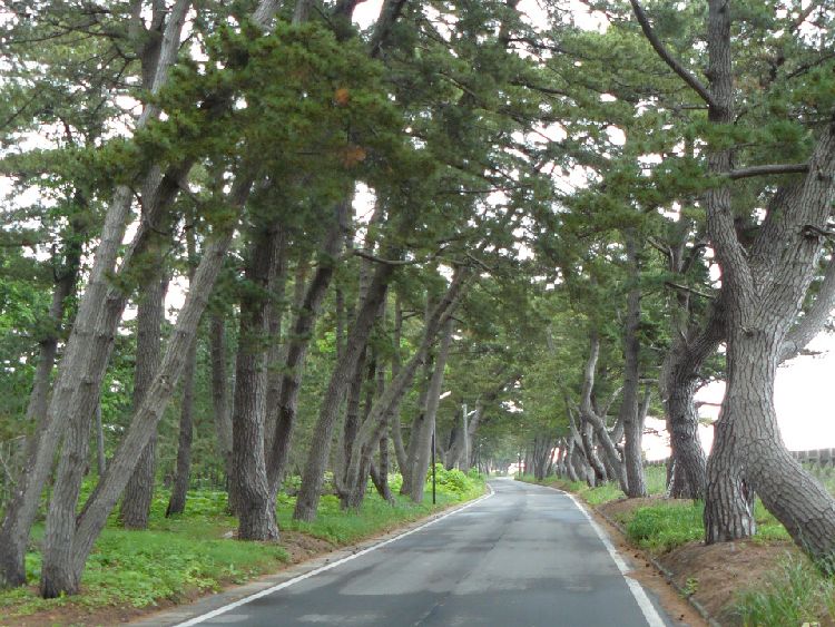 ���B�X���i�X���j