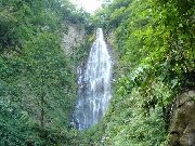 ���낭�܂̑�