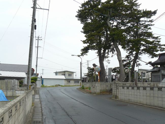 ���B�X���E�H�c�h