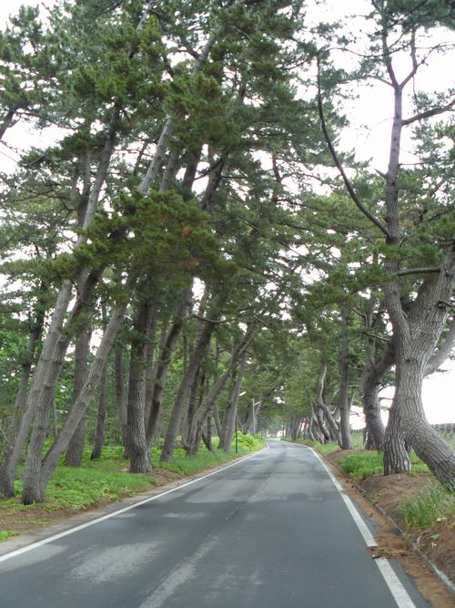 ���B�X���E���ڏh