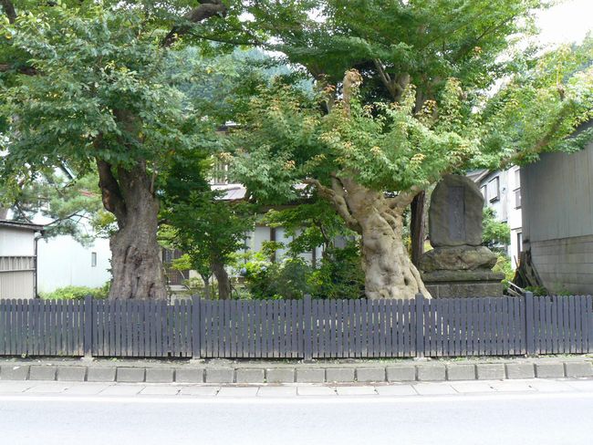 ���B�X���E�􃖊֏h