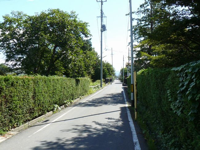 �O�O��E�鉺���E������