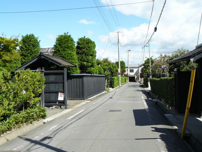 �O�O��E�鉺���E������