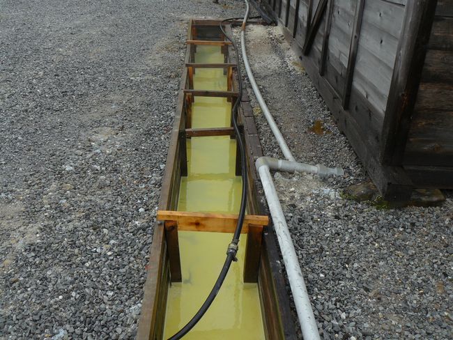 ���R����