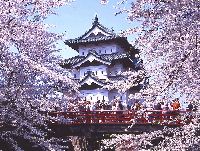 弘前城：天守閣・桜